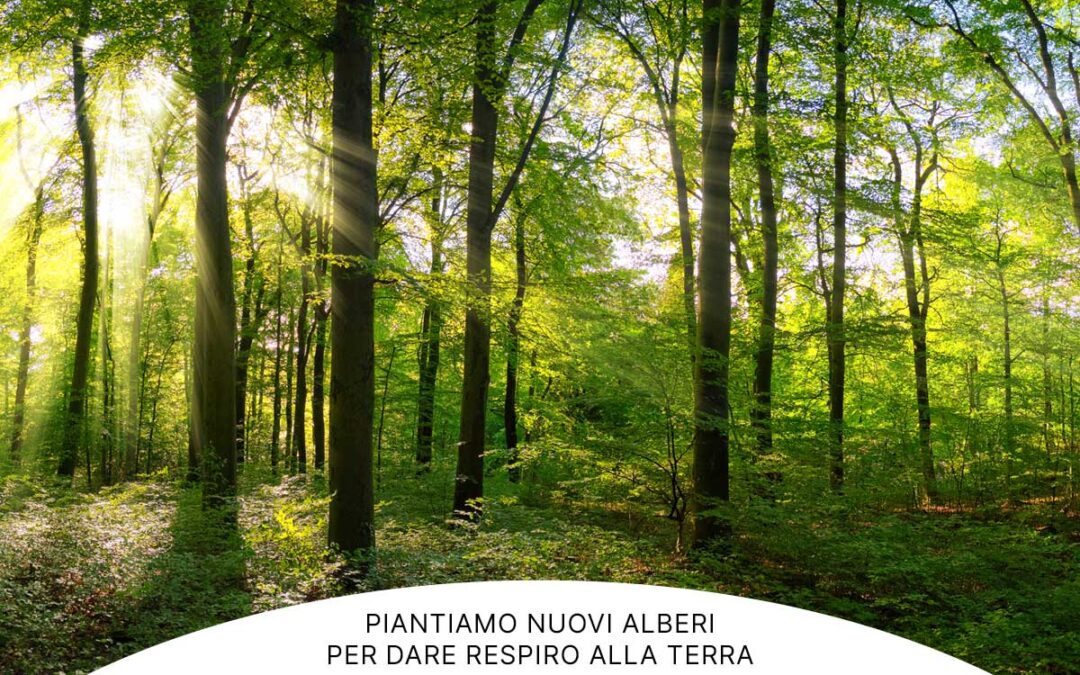 Piantiamo nuovi alberi per dare respiro alla terra